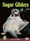 Sugar Gliders